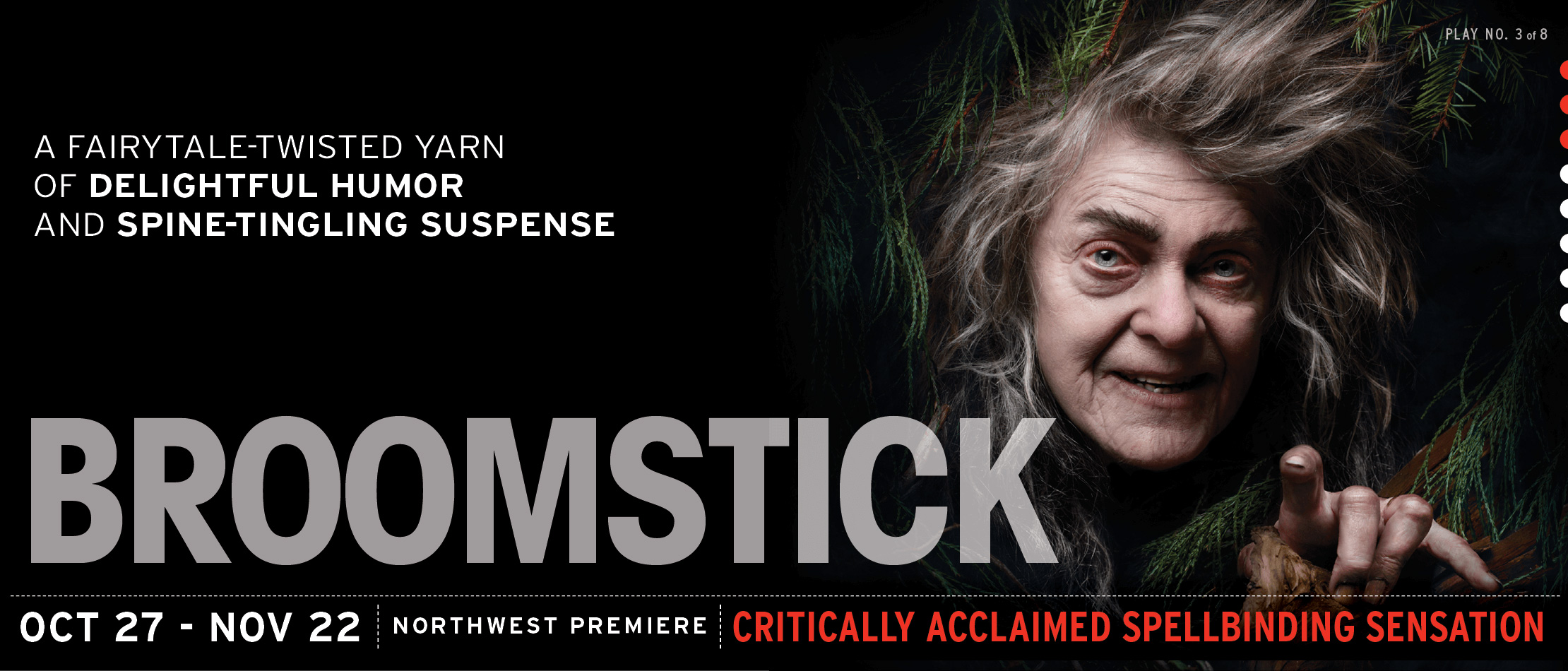 Broomstick